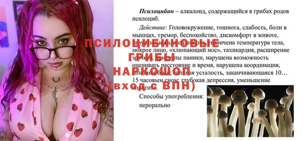 дживик Алексин